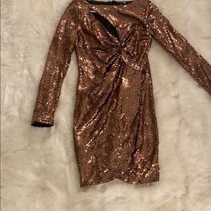 Fashion Nova Large Dress